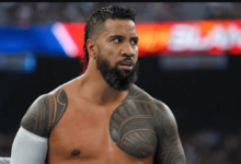 Jey Uso Net Worth